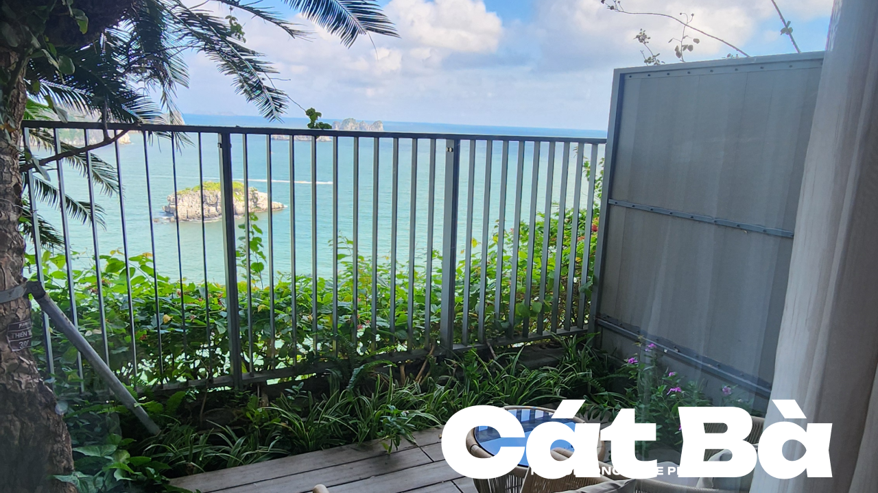 캇바 플라밍고 리조트